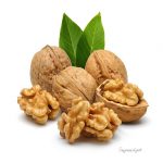 walnut and leaves
